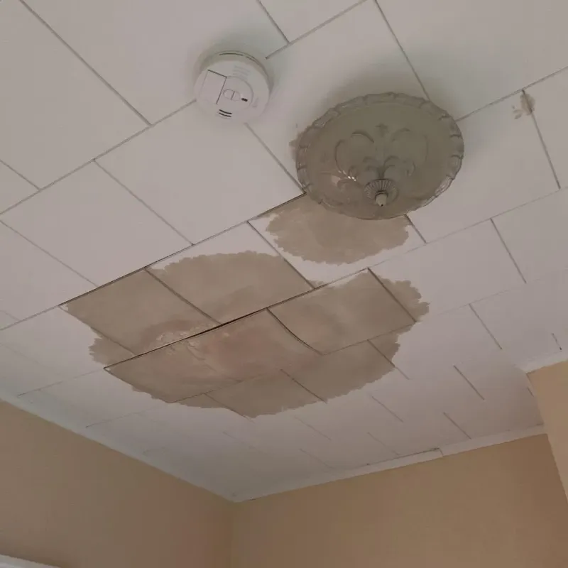 Ceiling Water Damage Repair in Sloan, NY