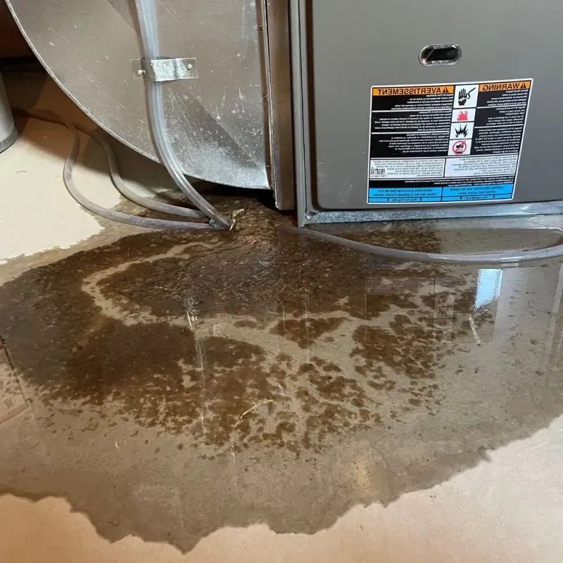 Pipe Burst and Leak Restoration in Sloan, NY