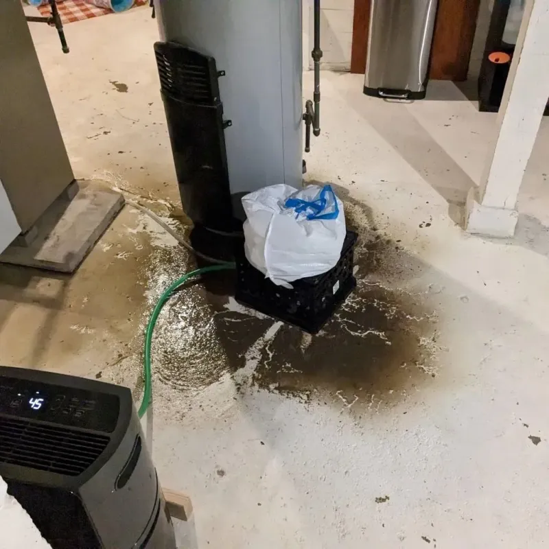 Sewage Backup Cleanup Service in Sloan, NY